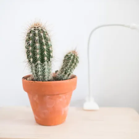 Casas Do Mar * リバマル